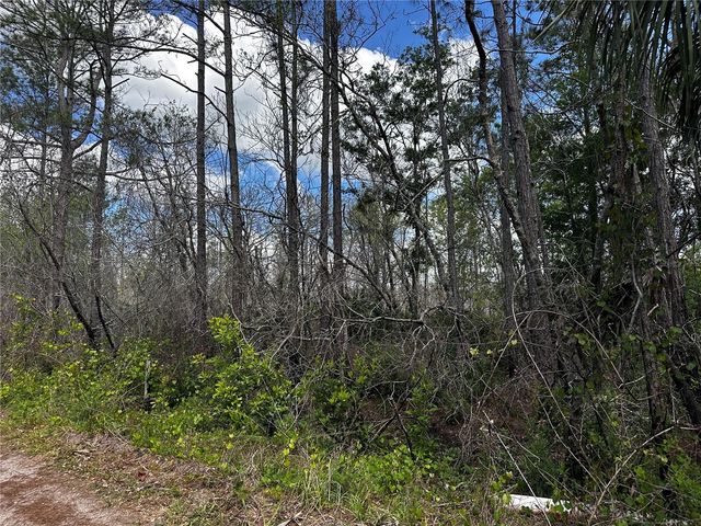 00 KOLA ROAD, New Smyrna Beach, FL 32168