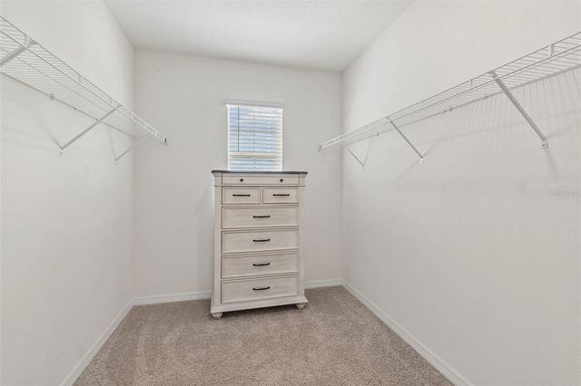 17053 OVAL RUM DRIVE, Wimauma, FL 33598