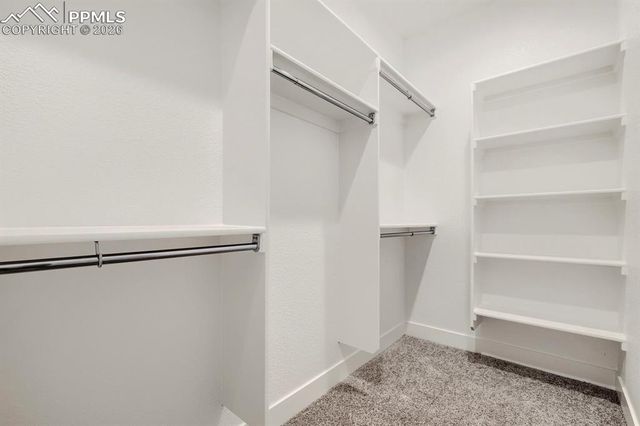 8688 Long Beach Terrace, Colorado Springs, CO 80908