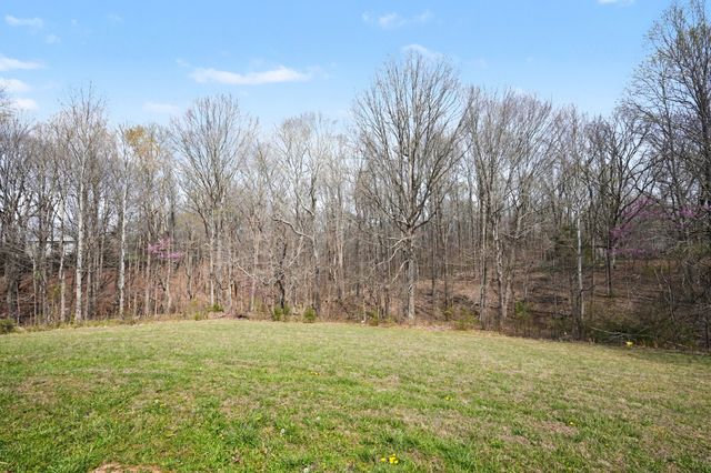 11948 Betts Rd, Greenbrier, TN 37073