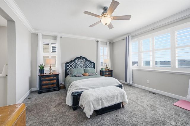 6700 Mentha Drive, Castle Rock, CO 80108