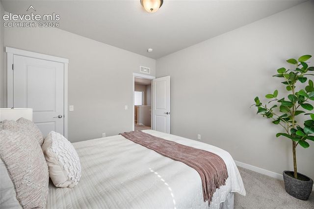 5425 Carvel Grove, Colorado Springs, CO 80922