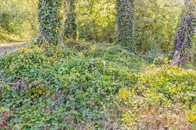 11035 Empire Grade, Santa Cruz, CA 95060