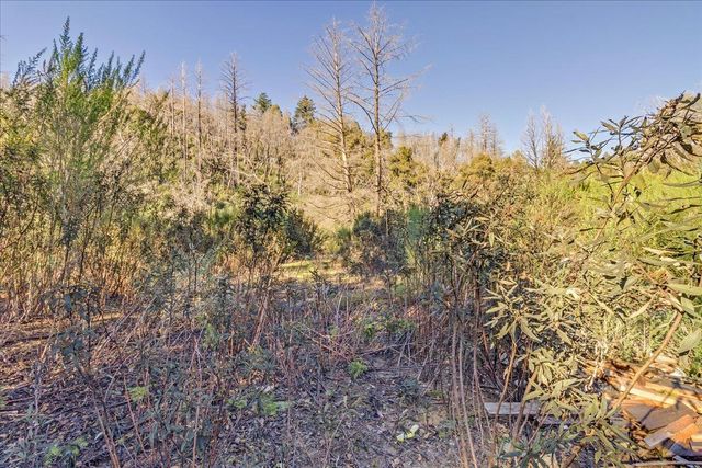 11035 Empire Grade, Santa Cruz, CA 95060