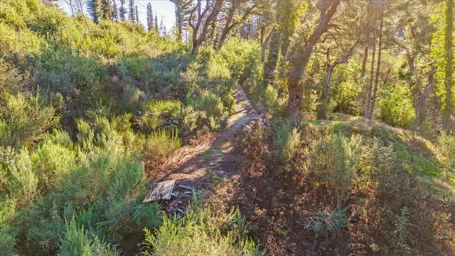 11035 Empire Grade, Santa Cruz, CA 95060