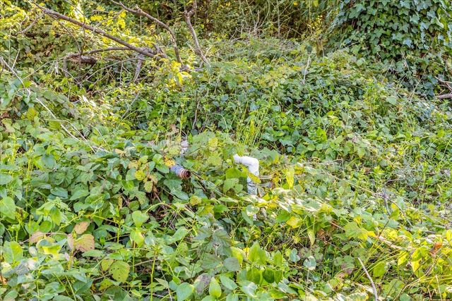 11035 Empire Grade, Santa Cruz, CA 95060