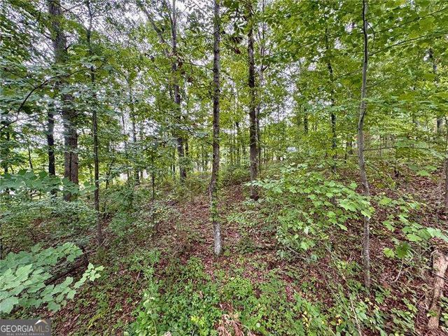 4205 Loftwood Drive, Cohutta, GA 30710