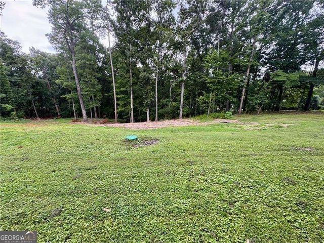 4205 Loftwood Drive, Cohutta, GA 30710