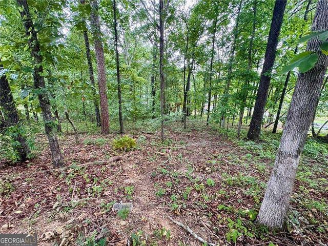 4205 Loftwood Drive, Cohutta, GA 30710