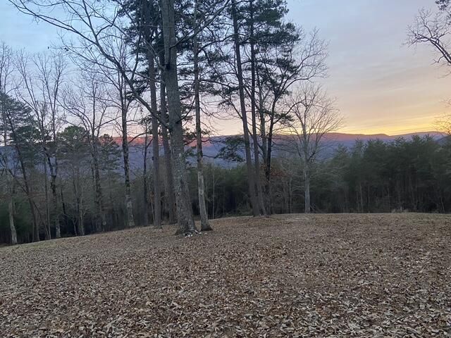 978 Press Pickett Road, Whitwell, TN 37397