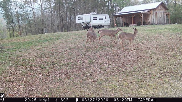 978 Press Pickett Road, Whitwell, TN 37397