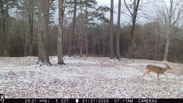 978 Press Pickett Road, Whitwell, TN 37397