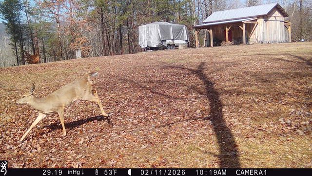 978 Press Pickett Road, Whitwell, TN 37397