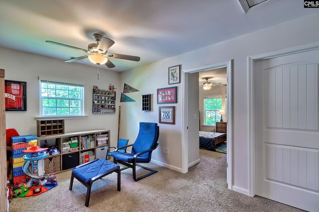 306 Dolly Horn Lane, Chapin, SC 29036