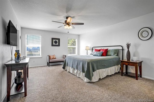 1294 Kittery Street, Castle Rock, CO 80104