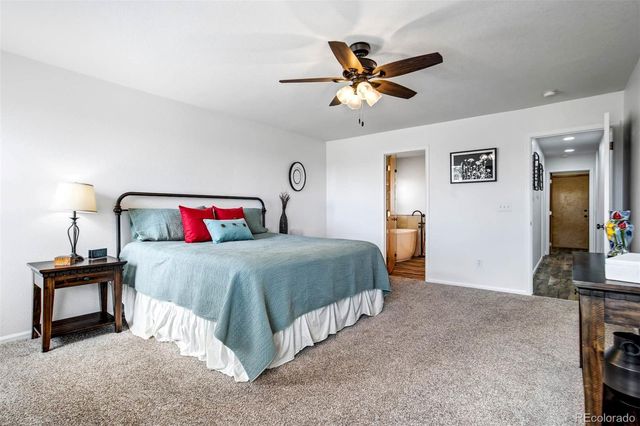 1294 Kittery Street, Castle Rock, CO 80104