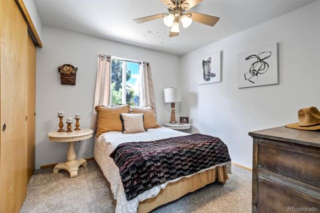 1294 Kittery Street, Castle Rock, CO 80104