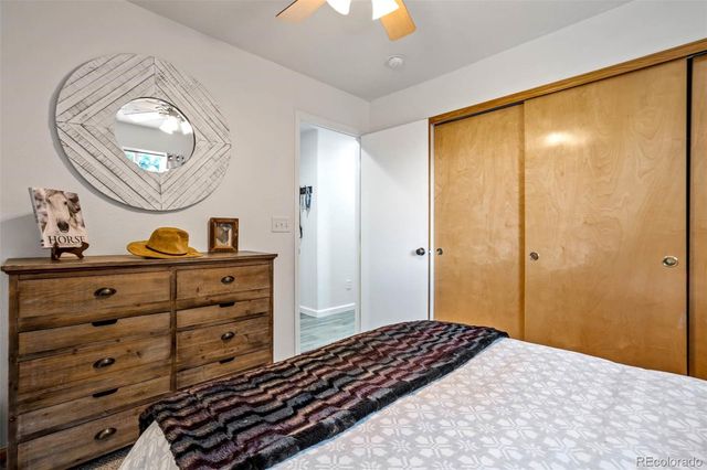 1294 Kittery Street, Castle Rock, CO 80104