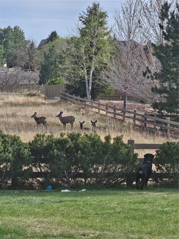 1294 Kittery Street, Castle Rock, CO 80104