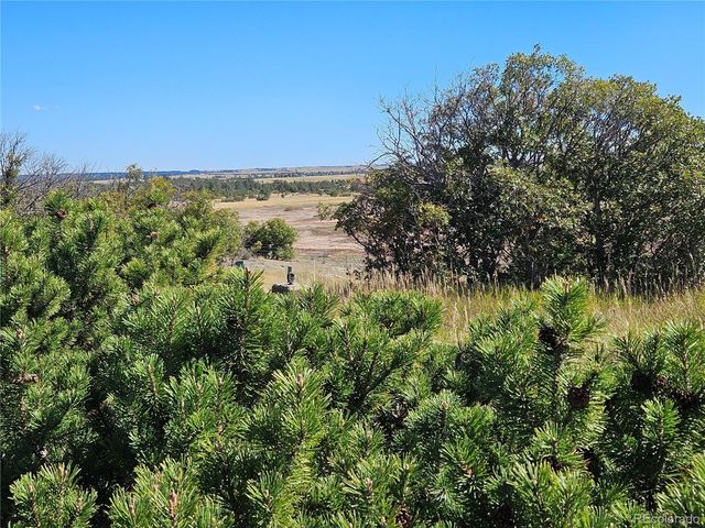 1294 Kittery Street, Castle Rock, CO 80104