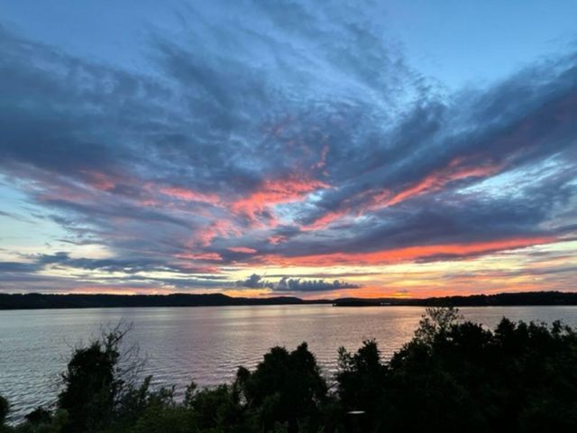 700 Emerald Pointe Drive 302, Hollister, MO 65672