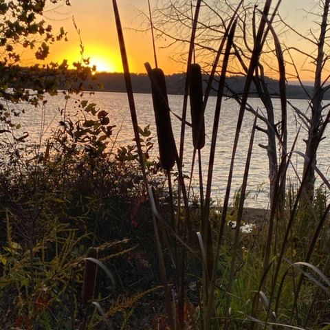 700 Emerald Pointe Drive 302, Hollister, MO 65672