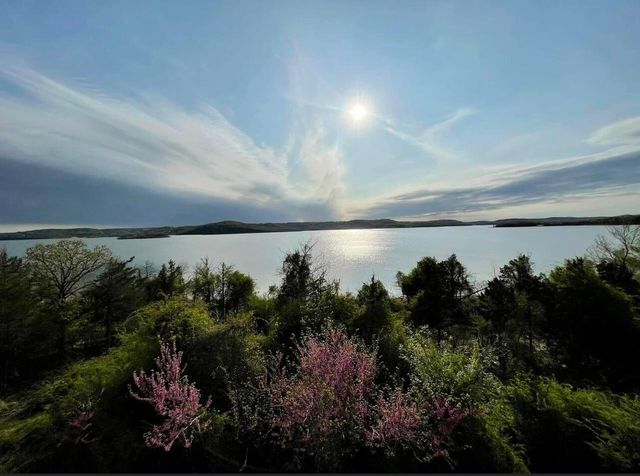 700 Emerald Pointe Drive 302, Hollister, MO 65672