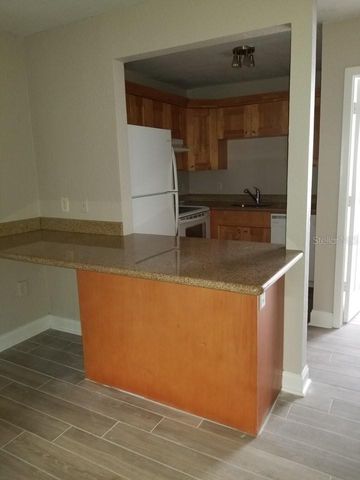 3914 W NEPTUNE STREET 28, Tampa, FL 33629