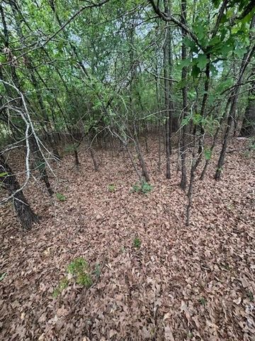 46 April Cove, Streetman, TX 75859