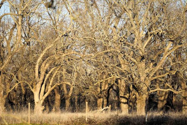 1458 Fm-1458, Pattison, TX 77423