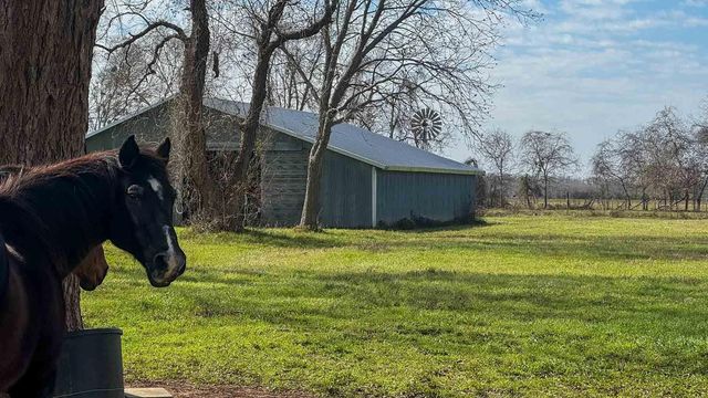 1458 Fm-1458, Pattison, TX 77423