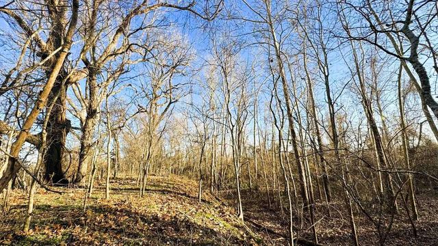 1458 Fm-1458, Pattison, TX 77423