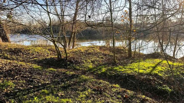 1458 Fm-1458, Pattison, TX 77423