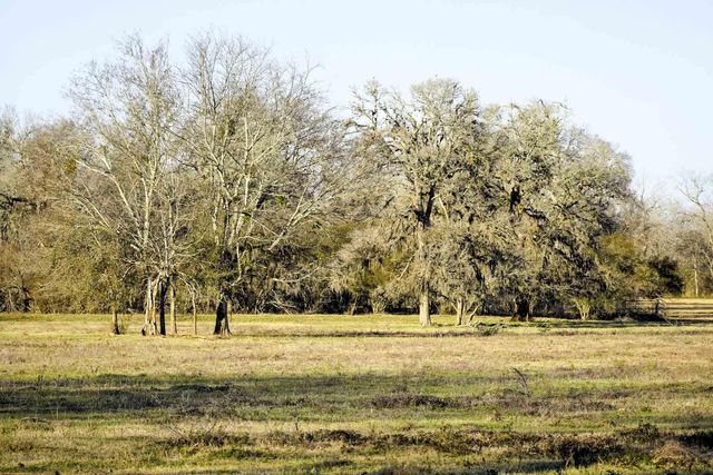 1458 Fm-1458, Pattison, TX 77423