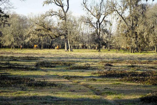 1458 Fm-1458, Pattison, TX 77423