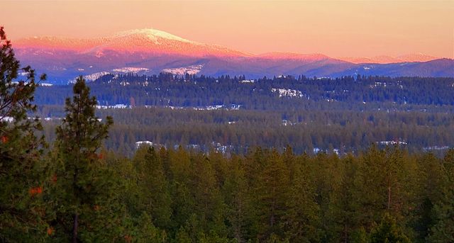 23214 N PERRY Rd, Colbert, WA 99005