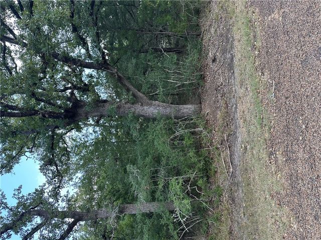 TBD Woodvine Lane, Somerville, TX 77879