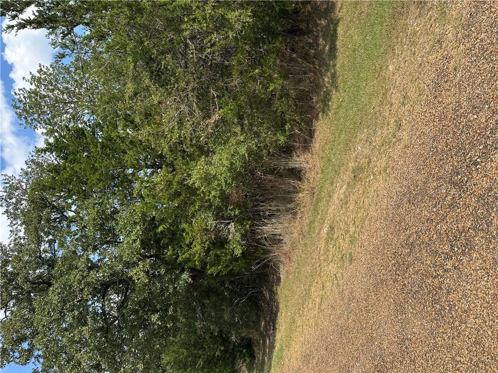 TBD Woodvine Lane, Somerville, TX 77879