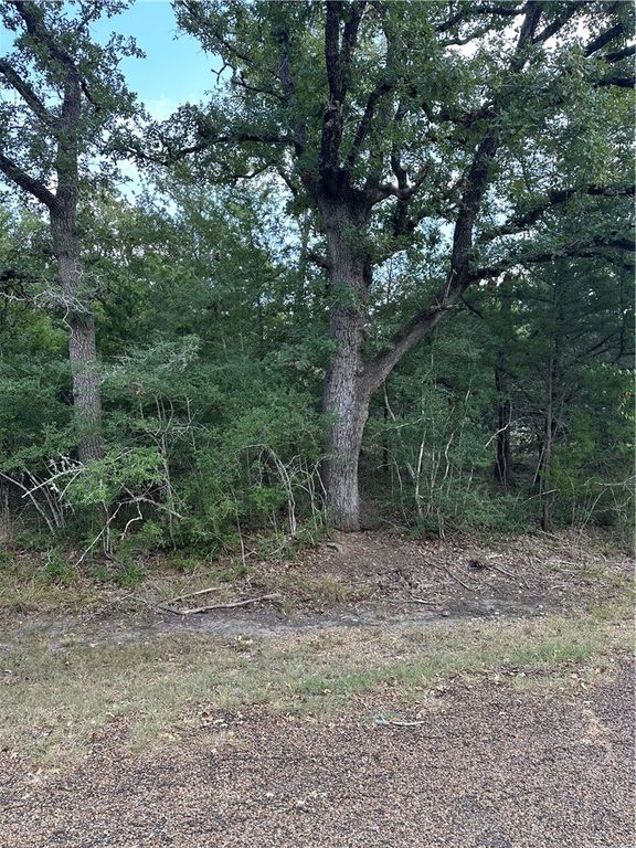 TBD Woodvine Lane, Somerville, TX 77879 — photo 2