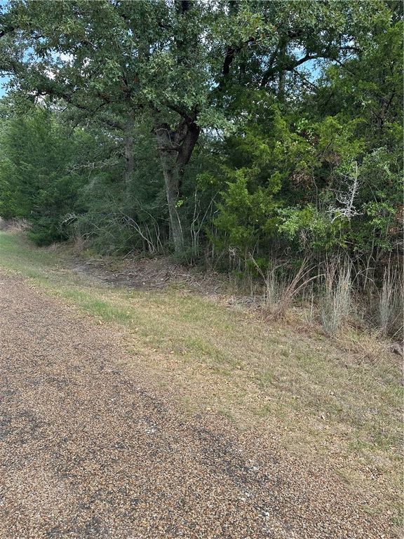 TBD Woodvine Lane, Somerville, TX 77879 — photo 3