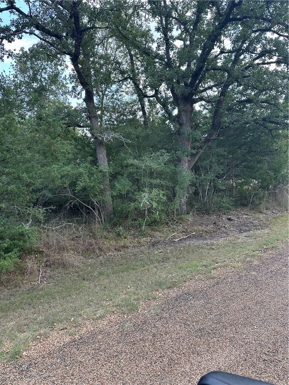 TBD Woodvine Lane, Somerville, TX 77879 — photo 4