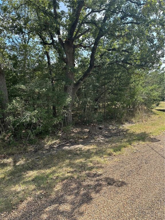 TBD Woodvine Lane, Somerville, TX 77879 — photo 5