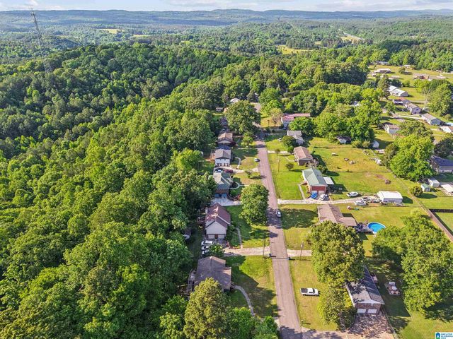 717 HILLTOP ROAD, Warrior, AL 35180