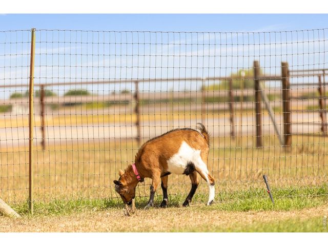 4260 S County Road 23, Loveland, CO 80537