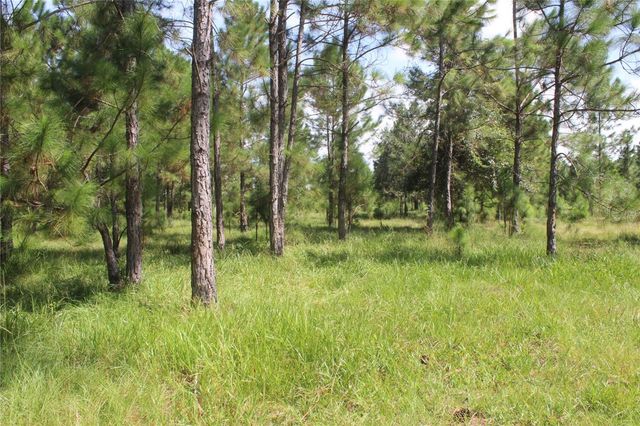 US HIGHWAY 98 W, Frostproof, FL 33843