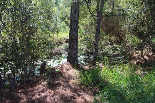 US HIGHWAY 98 W, Frostproof, FL 33843