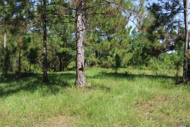 US HIGHWAY 98 W, Frostproof, FL 33843