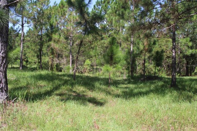 US HIGHWAY 98 W, Frostproof, FL 33843