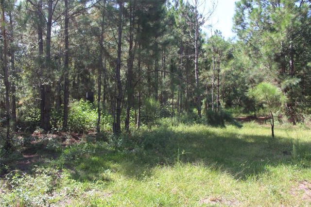 US HIGHWAY 98 W, Frostproof, FL 33843