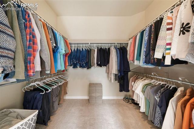 69 Saber Creek Drive, Monument, CO 80132